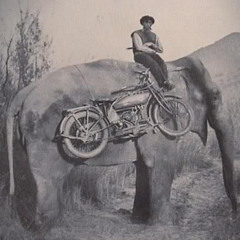 elephant motorcycles