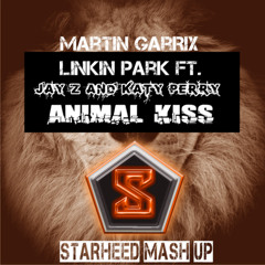 Martin Garrix ft. Jay Z & Katy Perry -  Kissed A Numb Animal(Starheed Mash Up)