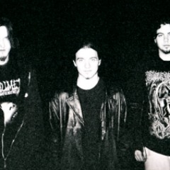 Daughter of Lust  - Orgy Of Violence