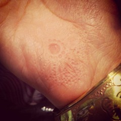 A House in Which to Live