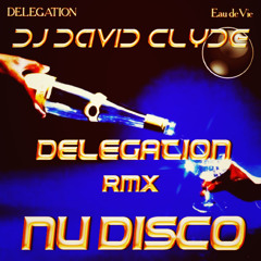 DELEGATION RMX NUDISCO DJ DAVID CLYDE  only promo