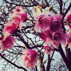 Somewhere in Brooklyn (Yunny and Jialin Cover)