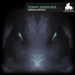 Flooting Grooves - Psydeburn (Sentimony Records 2011)