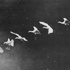 Electronique podcast