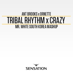 Ant Brooks x Ornette - Tribal Rhythm x Crazy (Mr. White South Korea Mashup)