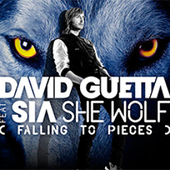 Duet Feeriya - She Wolf [violin cover]