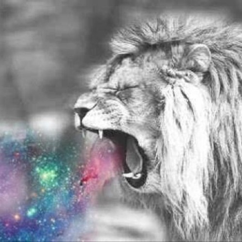 DVBBS - UMF 2014 (NOT FULL SET)