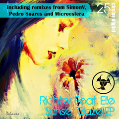 feat.Elle - Sunset Gaze (low quality mp3 preview) Out today.