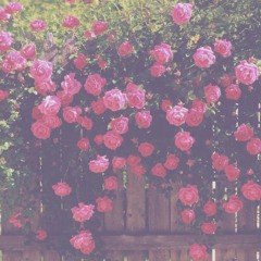 Nắng Ấm Xa Dần (Acoustic - Short Ver)