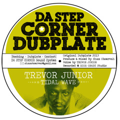 TIDAL WAVE Feat TREVOR JUNIOR