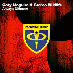 Gary Maguire & Stereo Wildlife - Always Different (Original Mix)