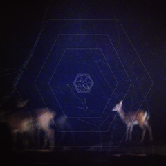 .Amnesia - 90° 00 S, 0° 00 E (We're Drowning In Slowmotion)