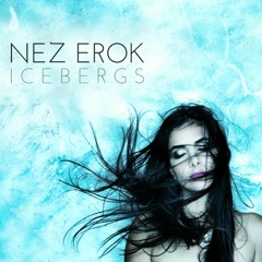 Icebergs - Nez Erok