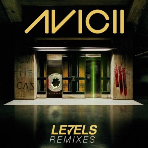 Skrillex (Remix) - Levels 2014 (Soberts Remix) FREE