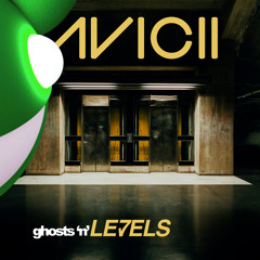 Ghosts N' Levels (Salsana Rework)