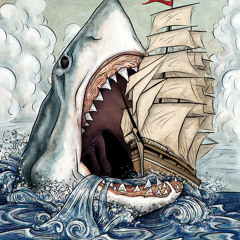 Sharks Control These Waters