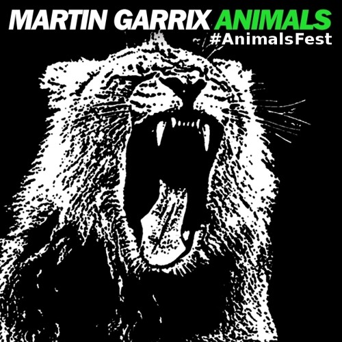 Martin Garrix - Animals (Intro Edit)