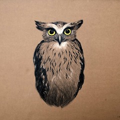Theoish & MÆVE - Popcorn Owls
