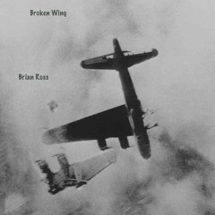 Broken Wing