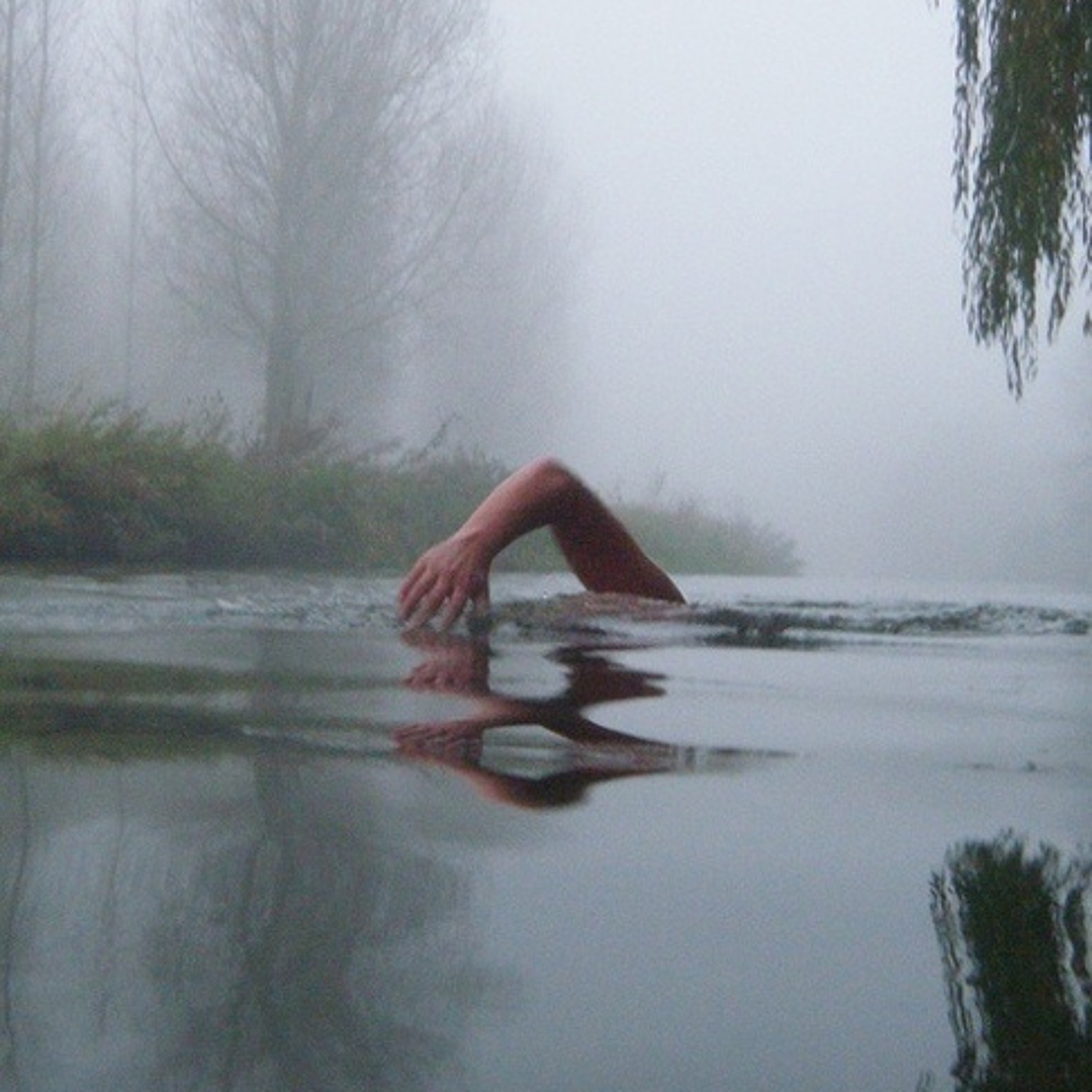 Swimming Pool 3