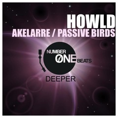 Pasive Birds (Original Mix)