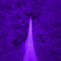 TRAP トラップ先生 $EN$EI - Sacred Encounter (Chopped & Screwed by Sxppxn_purp420)