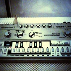 My Screaming 303