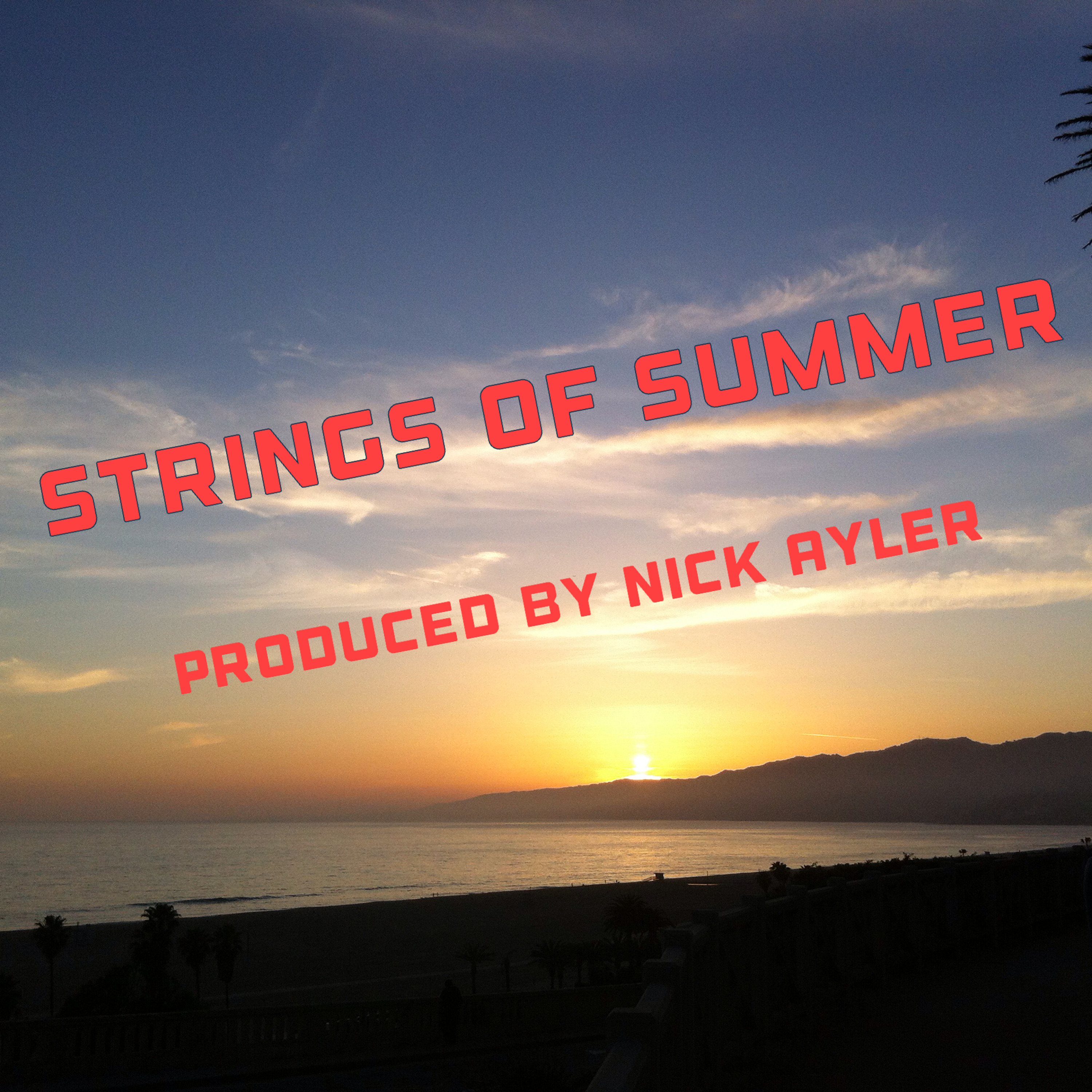 Nick Ayler