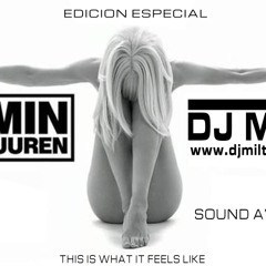 Armin Van Buuren Feat Dj Milt - This Is What It Feels Like (Edicion Especial).