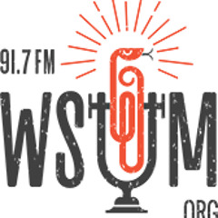 Honalee Live on U DUB Radio 91.7 WSUM Madison