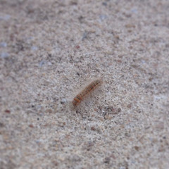 The Lonely Road - Dwic1 & Stemz