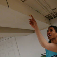 Sprang Brake (Heads Will Roll Sample)