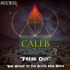 "Freak Out"(Bad Wings Remix)