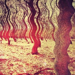 noiseforest (prod. by debars)