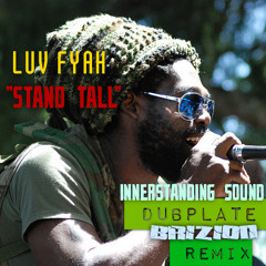 Luv Fyah - Stand Tall (Brizion remix)  dubplate preview
