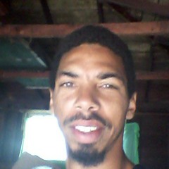 Shype Red Gator Wait On The Sunshine