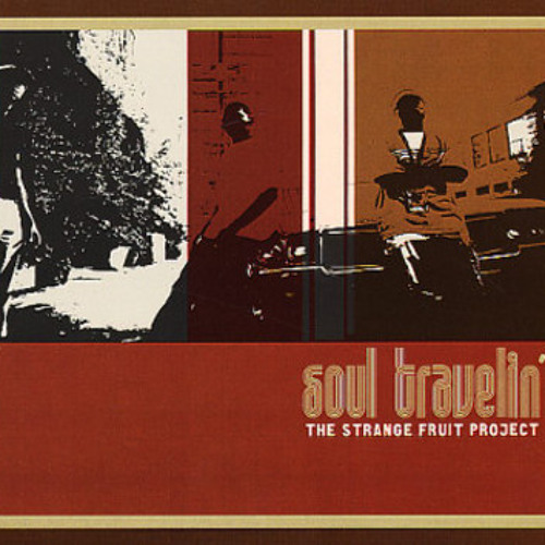 The Strange Fruit Project - Hasta Luego