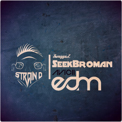 SeekBroman | Avicii | Strain D | EDM
