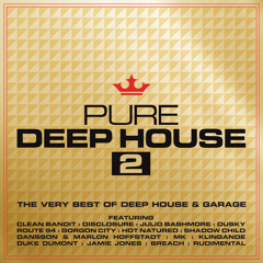 Pure Deep House 2 - Album Mini Mix