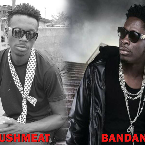 BUSH MEAT Ft KNICKLES DANCEHALL PARTY (Prod By Wenzy