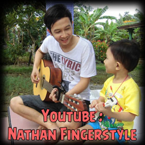 (David Guetta ft. Sia) titanium - Nathan Fingerstyle