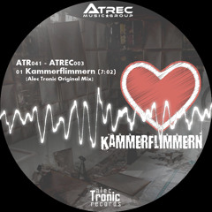 Kammerflimmern (Original Mix / Techno)
