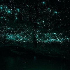 Kodiak- Remember My Land