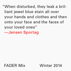 FADER Mix: Jensen Sportag
