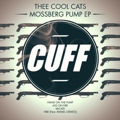 Thee Cool Cats & Rafael Cerato - Vibe (Original Mix)