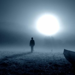 Night Wanderer