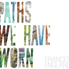 Frances England - "Light Brings Color"