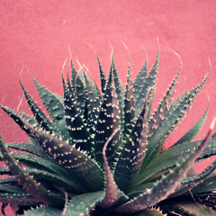 holy sh*t it's almost april