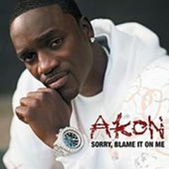 Akon - Blame It On Me (Remix by Chibz)