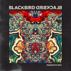 blackbird blackbird